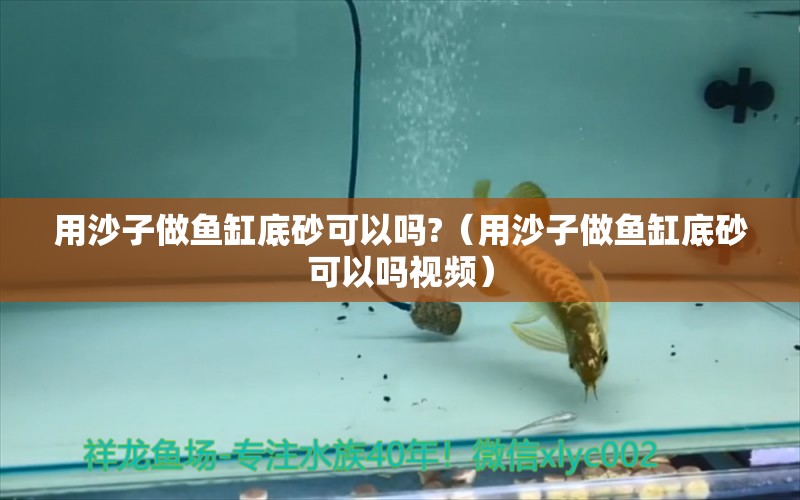 用沙子做鱼缸底砂可以吗?（用沙子做鱼缸底砂可以吗视频）