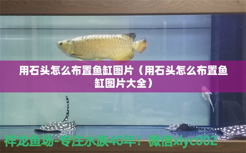 用石头怎么布置鱼缸图片（用石头怎么布置鱼缸图片大全）