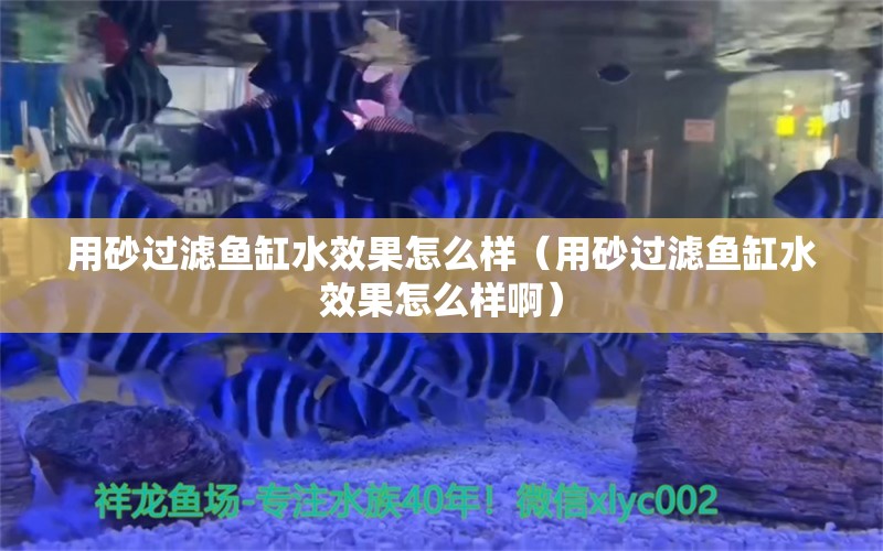 用砂过滤鱼缸水效果怎么样（用砂过滤鱼缸水效果怎么样啊）