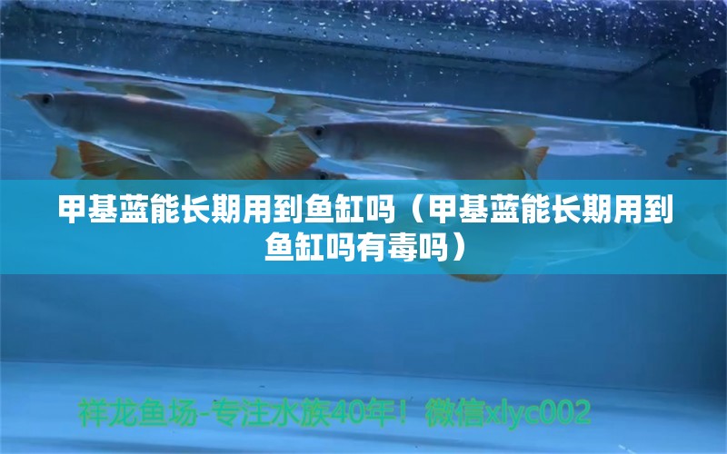 甲基蓝能长期用到鱼缸吗（甲基蓝能长期用到鱼缸吗有毒吗） 观赏鱼市场（混养鱼）