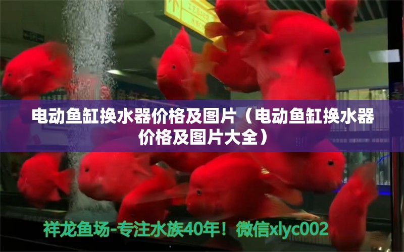 电动鱼缸换水器价格及图片（电动鱼缸换水器价格及图片大全） 观赏鱼市场（混养鱼）