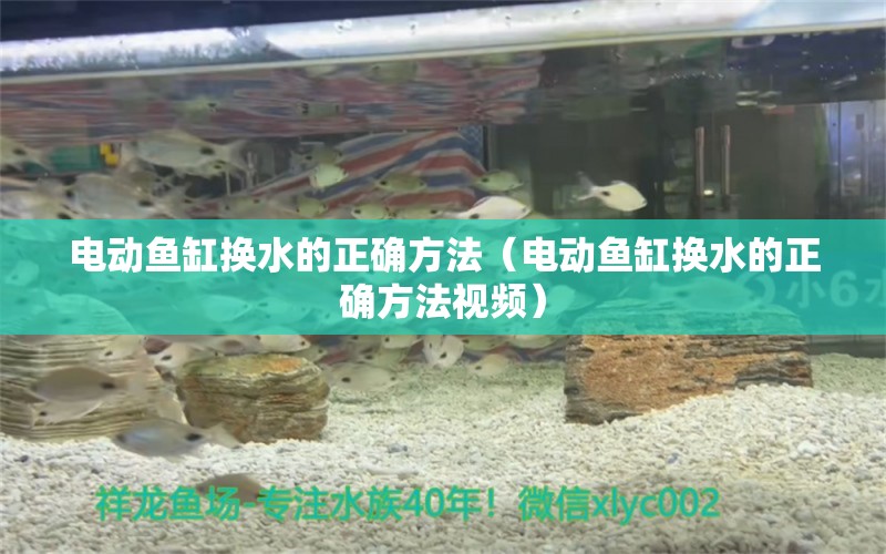 电动鱼缸换水的正确方法（电动鱼缸换水的正确方法视频）