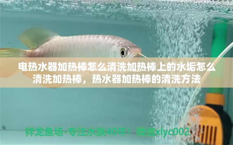 电热水器加热棒怎么清洗加热棒上的水垢怎么清洗加热棒，热水器加热棒的清洗方法 观赏鱼 第1张