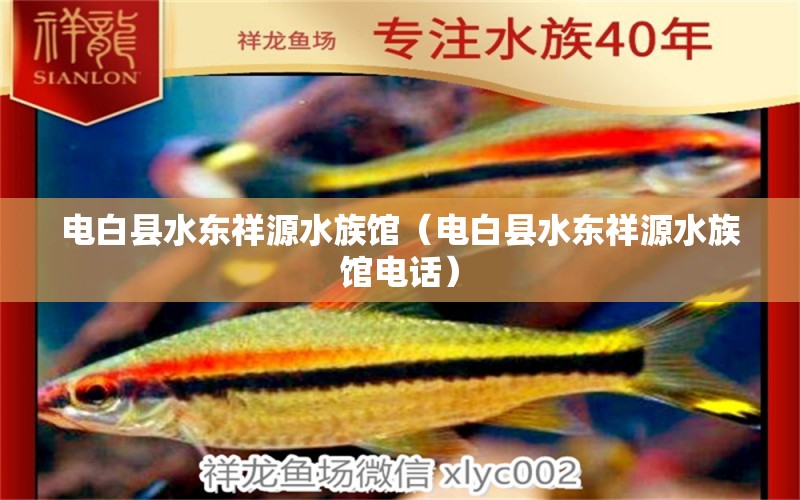 电白县水东祥源水族馆（电白县水东祥源水族馆电话）