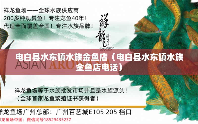 电白县水东镇水族金鱼店（电白县水东镇水族金鱼店电话） 全国水族馆企业名录