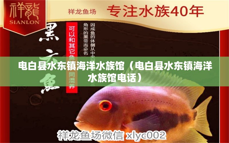 电白县水东镇海洋水族馆（电白县水东镇海洋水族馆电话） 全国水族馆企业名录