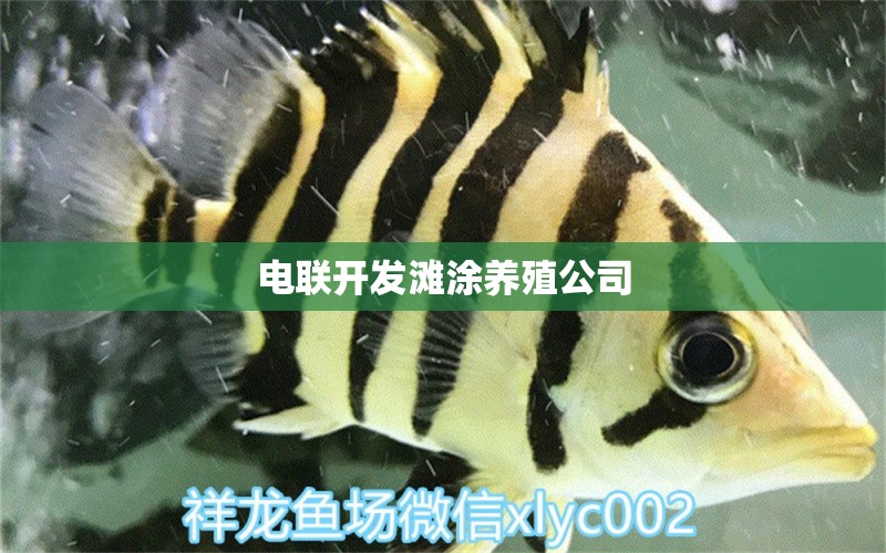 电联开发滩涂养殖公司 全国水族馆企业名录