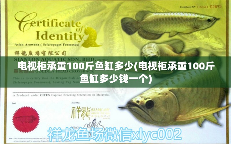 电视柜承重100斤鱼缸多少(电视柜承重100斤鱼缸多少钱一个)