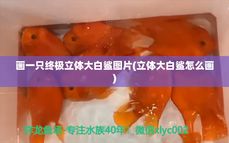 画一只终极立体大白鲨图片(立体大白鲨怎么画) 鱼缸等水族设备