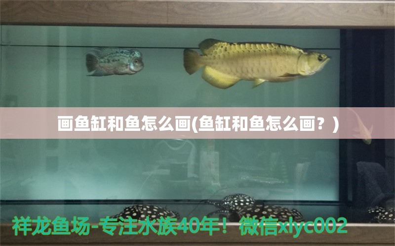 画鱼缸和鱼怎么画(鱼缸和鱼怎么画？) 虎鱼百科