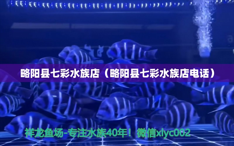 略阳县七彩水族店（略阳县七彩水族店电话）