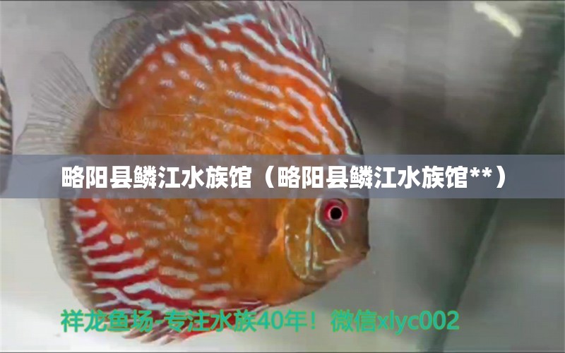 略阳县鳞江水族馆（略阳县鳞江水族馆**） 全国水族馆企业名录