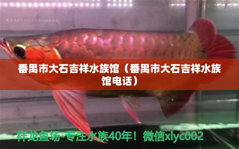 番禺市大石吉祥水族馆（番禺市大石吉祥水族馆电话） 全国水族馆企业名录