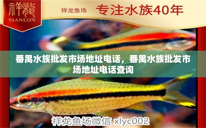 番禺水族批发市场地址电话，番禺水族批发市场地址电话查询 观赏鱼水族批发市场 第1张