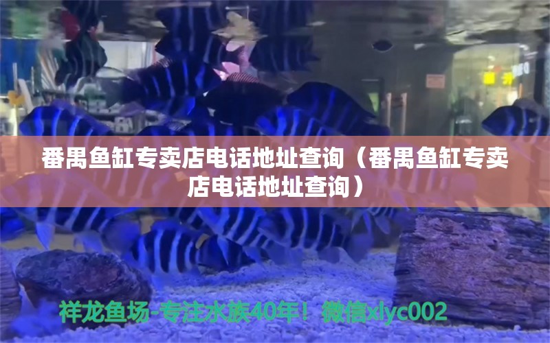 番禺鱼缸专卖店电话地址查询（番禺鱼缸专卖店电话地址查询） 观赏鱼批发