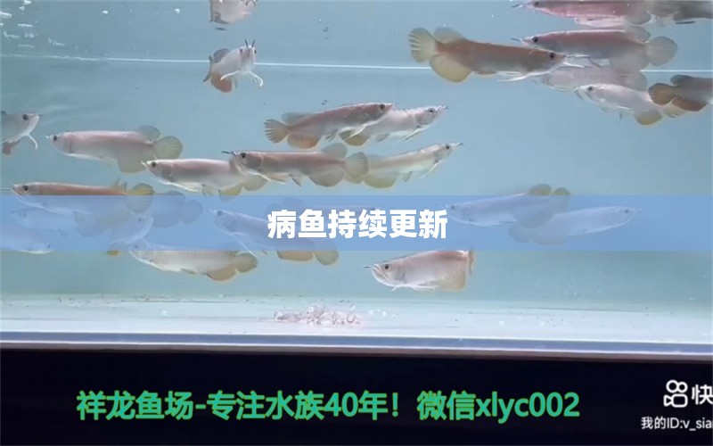 病鱼持续更新 龙鱼疾病与治疗