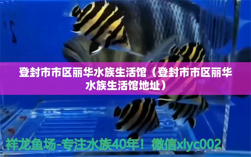 登封市市区丽华水族生活馆（登封市市区丽华水族生活馆地址）