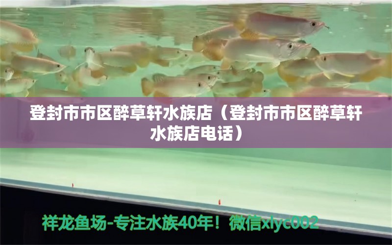 登封市市区醉草轩水族店（登封市市区醉草轩水族店电话） 全国水族馆企业名录