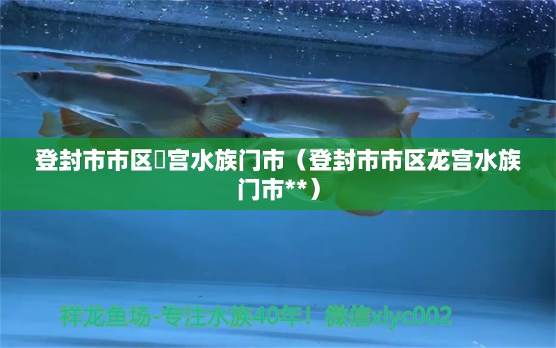 登封市市区龍宫水族门市（登封市市区龙宫水族门市**） 全国水族馆企业名录