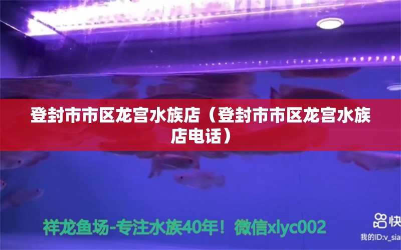 登封市市区龙宫水族店（登封市市区龙宫水族店电话） 全国水族馆企业名录