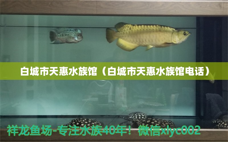 白城市天惠水族馆（白城市天惠水族馆电话）