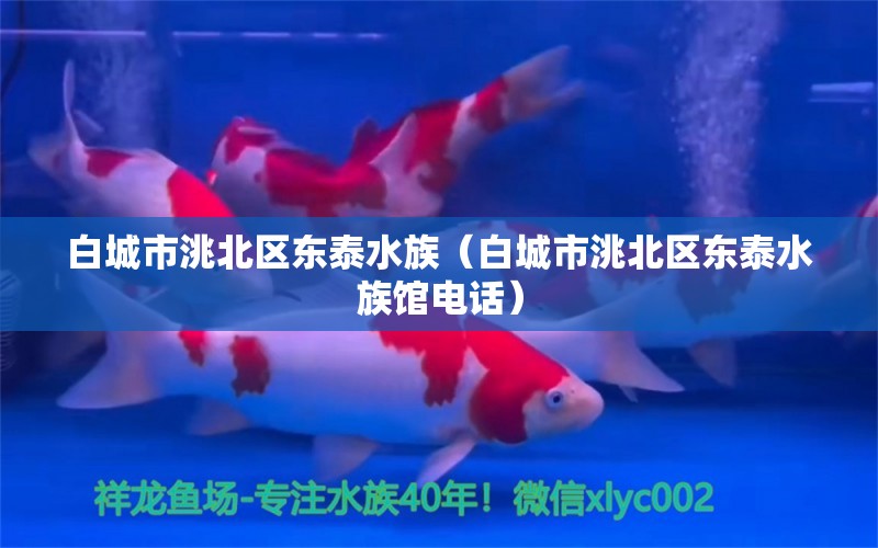 白城市洮北区东泰水族（白城市洮北区东泰水族馆电话）