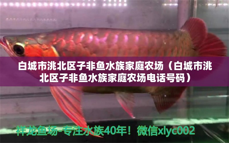 白城市洮北区子非鱼水族家庭农场（白城市洮北区子非鱼水族家庭农场电话号码） 全国水族馆企业名录