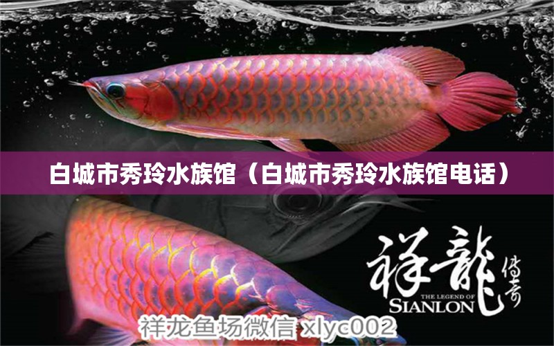 白城市秀玲水族馆（白城市秀玲水族馆电话） 全国水族馆企业名录