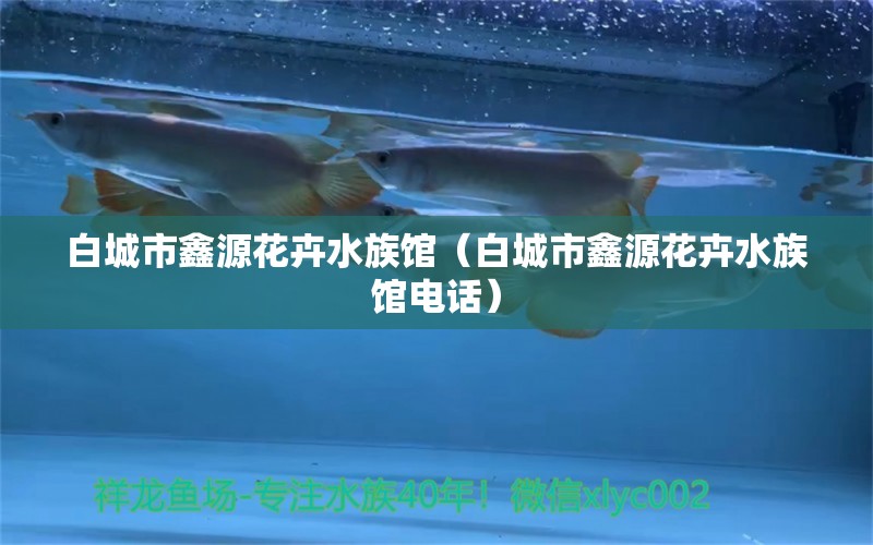 白城市鑫源花卉水族馆（白城市鑫源花卉水族馆电话）