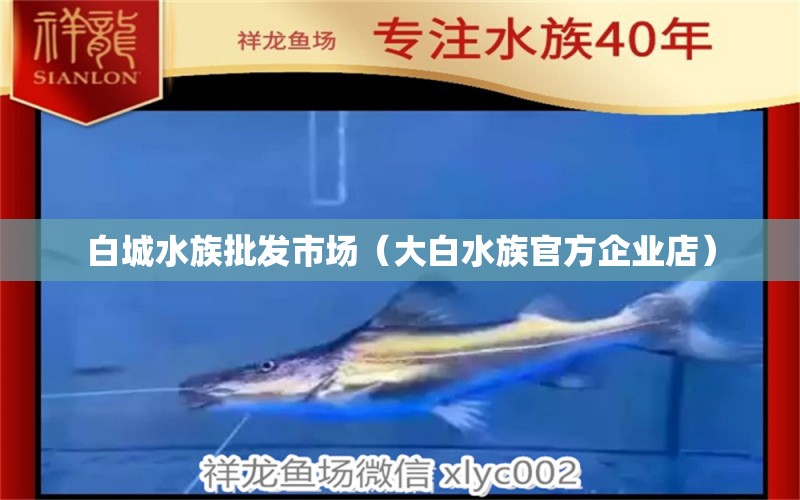 白城水族批发市场（大白水族官方企业店） 观赏鱼水族批发市场 第1张