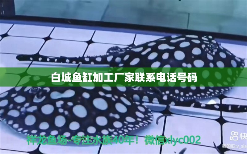 白城鱼缸加工厂家联系电话号码 水族问答 第1张