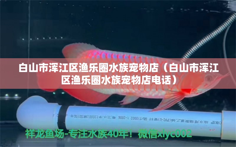 白山市浑江区渔乐圈水族宠物店（白山市浑江区渔乐圈水族宠物店电话）