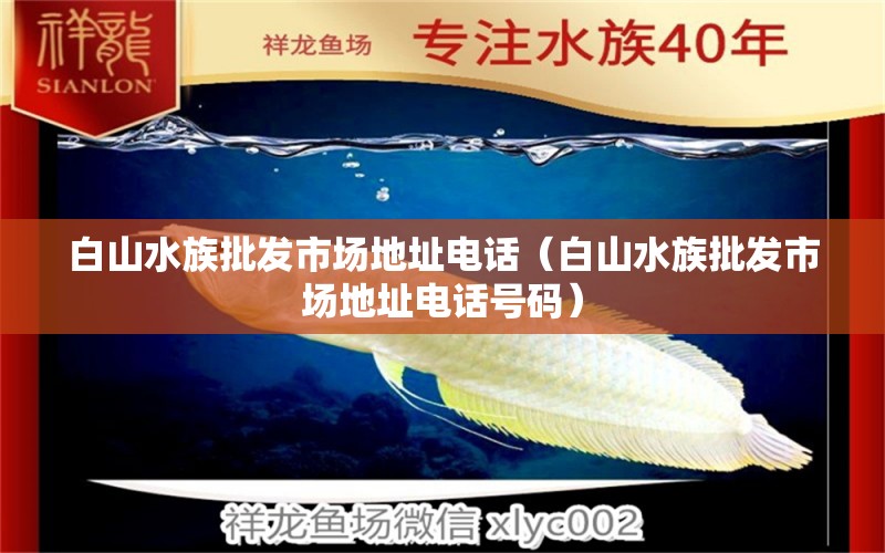 白山水族批发市场地址电话（白山水族批发市场地址电话号码） 观赏鱼水族批发市场