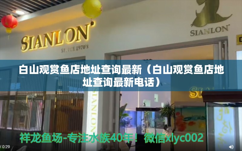 白山观赏鱼店地址查询最新（白山观赏鱼店地址查询最新电话）