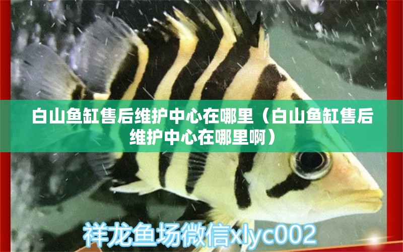 白山鱼缸售后维护中心在哪里（白山鱼缸售后维护中心在哪里啊）