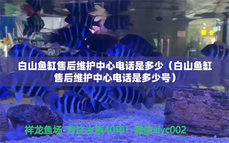 白山鱼缸售后维护中心电话是多少（白山鱼缸售后维护中心电话是多少号）