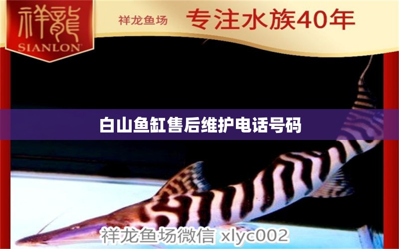 白山鱼缸售后维护电话号码 其他品牌鱼缸