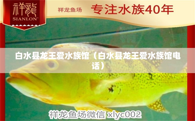 白水县龙王爱水族馆（白水县龙王爱水族馆电话）