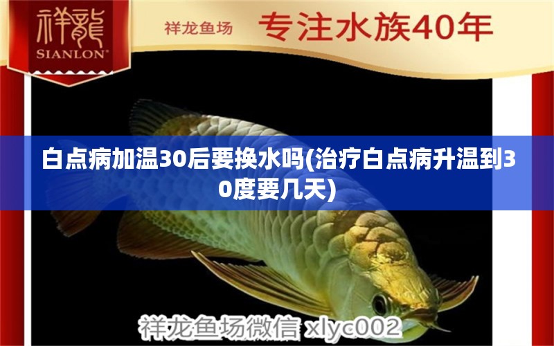 白点病加温30后要换水吗(治疗白点病升温到30度要几天)