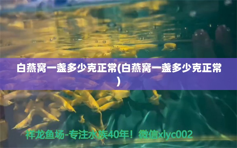 白燕窝一盏多少克正常(白燕窝一盏多少克正常) 马来西亚燕窝 第1张