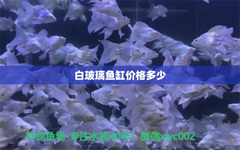 白玻璃鱼缸价格多少