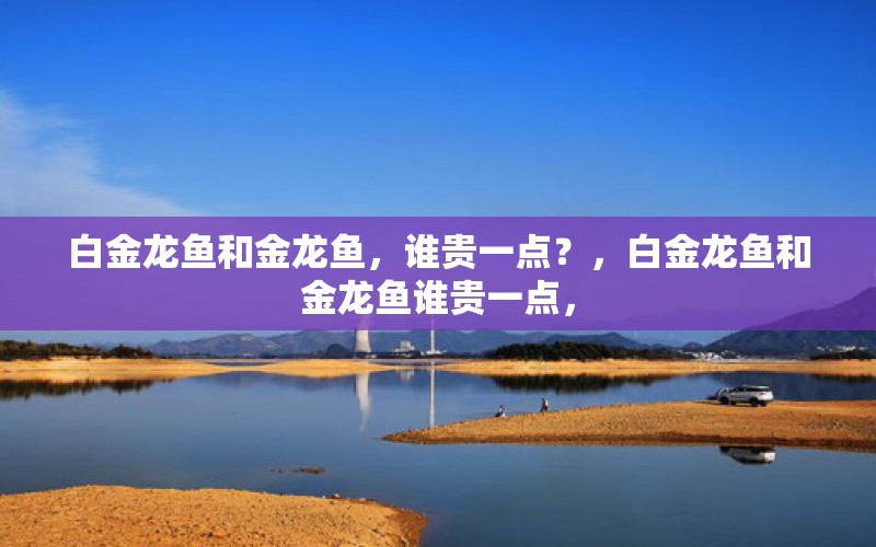 白金龙鱼和金龙鱼，谁贵一点？，白金龙鱼和金龙鱼谁贵一点， 2024第28届中国国际宠物水族展览会CIPS（长城宠物展2024 CIPS） 第1张