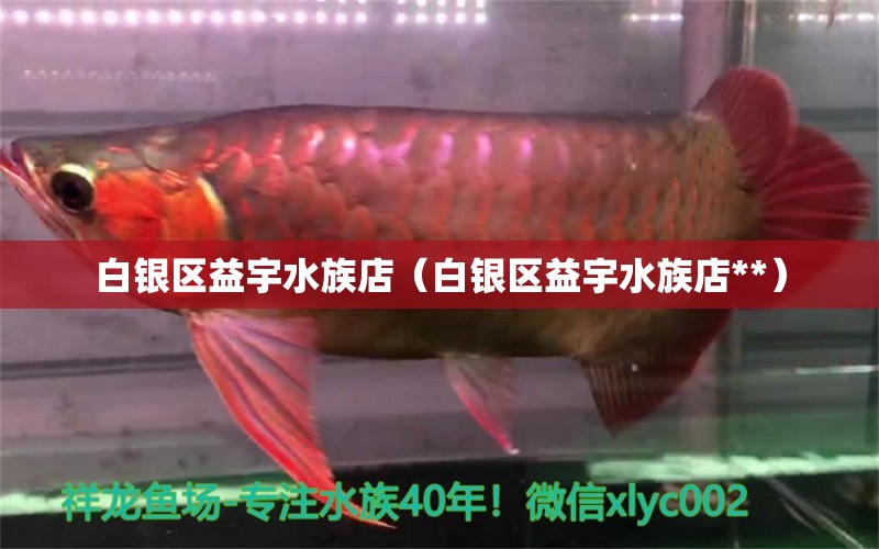 白银区益宇水族店（白银区益宇水族店**）