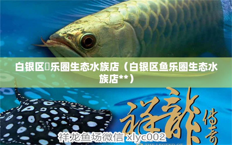 白银区魚乐圈生态水族店（白银区鱼乐圈生态水族店**）