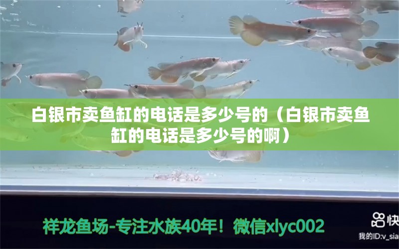 白银市卖鱼缸的电话是多少号的（白银市卖鱼缸的电话是多少号的啊）