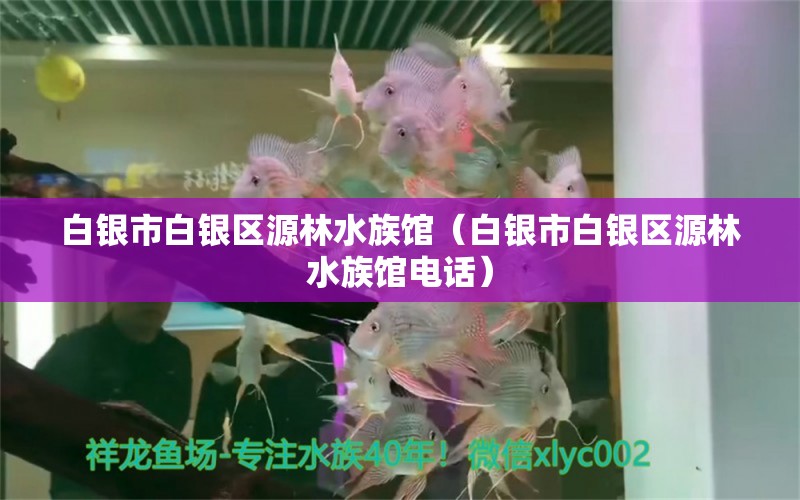 白银市白银区源林水族馆（白银市白银区源林水族馆电话） 全国水族馆企业名录