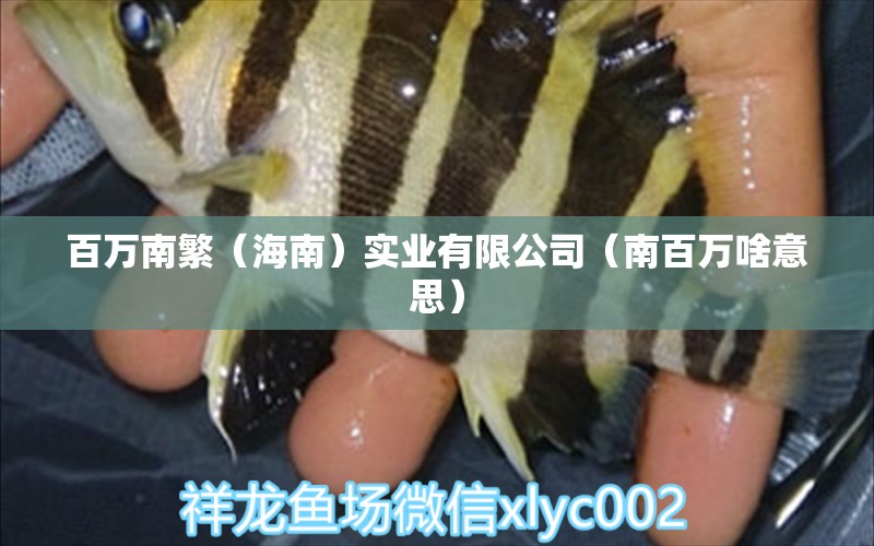 百万南繁（海南）实业有限公司（南百万啥意思） 全国水族馆企业名录