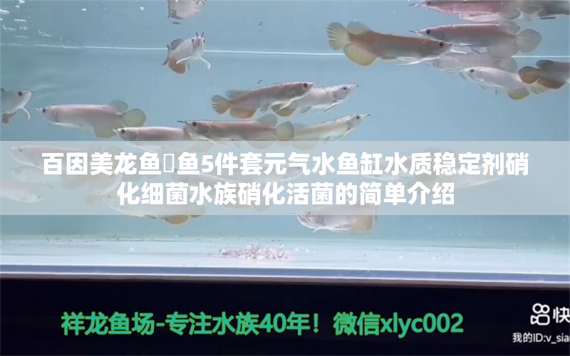 百因美龙鱼魟鱼5件套元气水鱼缸水质稳定剂硝化细菌水族硝化活菌的简单介绍 硝化细菌 第1张