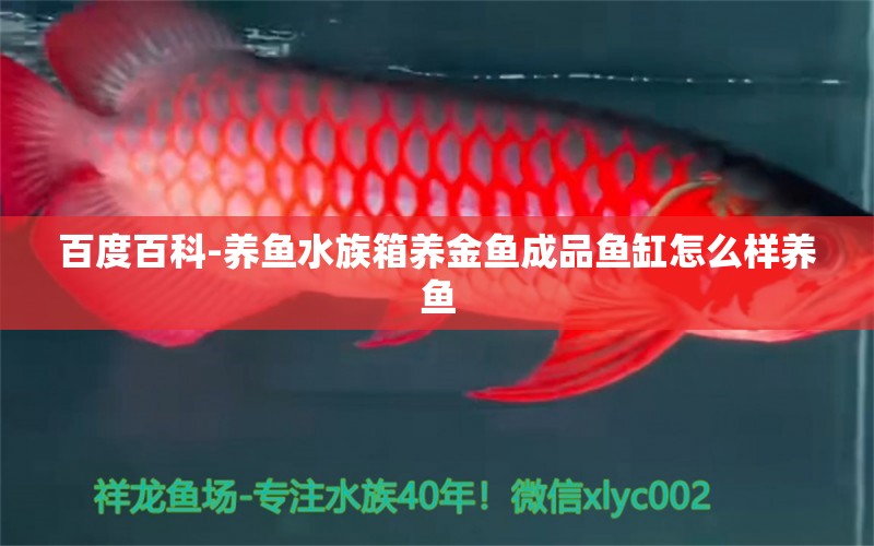 百度百科-养鱼水族箱养金鱼成品鱼缸怎么样养鱼