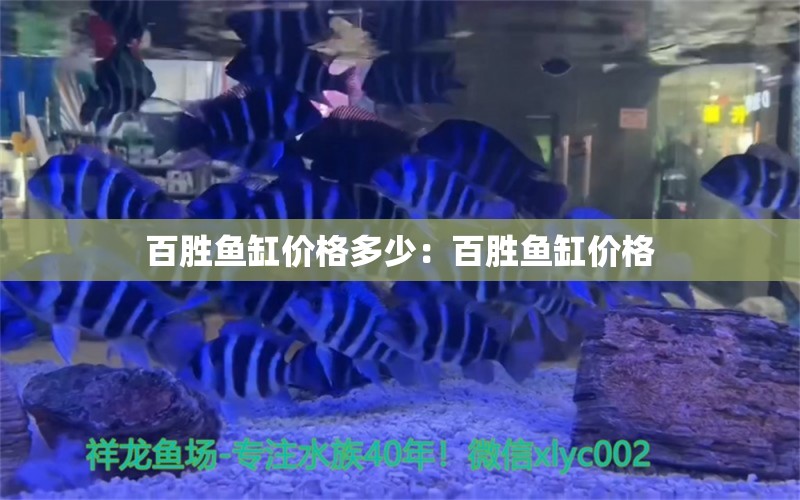 百胜鱼缸价格多少：百胜鱼缸价格 鱼缸百科 第2张